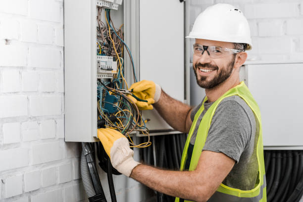 Best Home Electrical Repair  in Tanaina, AK