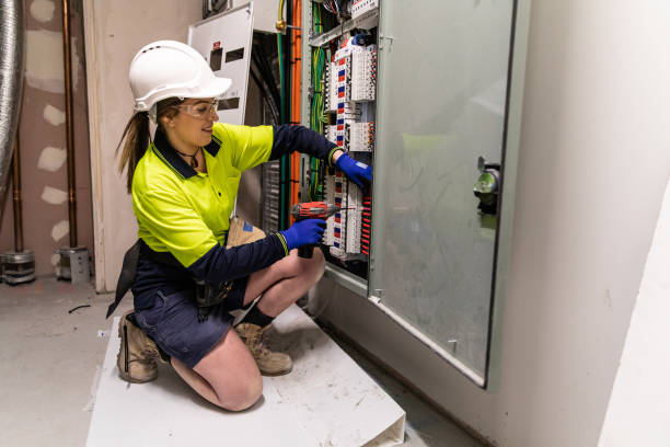 Best Home Electrical Repair  in Tanaina, AK